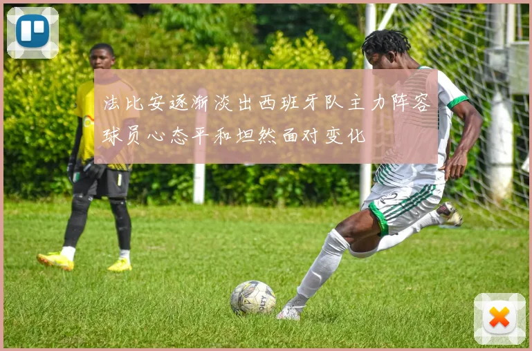 法比安逐渐淡出西班牙队主力阵容球员心态平和坦然面对变化