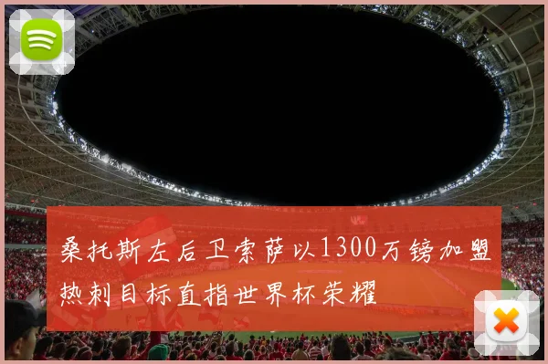 桑托斯左后卫索萨以1300万镑加盟热刺目标直指世界杯荣耀