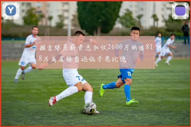 掘金球员薪资总和仅2600万纳吉818万高居榜首远低于恩比德